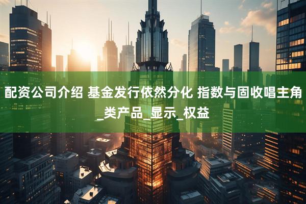 配资公司介绍 基金发行依然分化 指数与固收唱主角_类产品_显示_权益