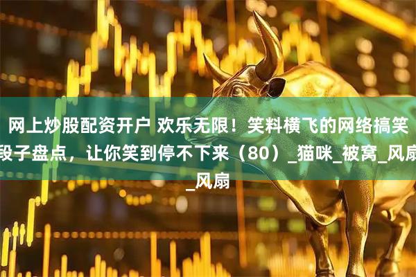 网上炒股配资开户 欢乐无限！笑料横飞的网络搞笑段子盘点，让你笑到停不下来（80）_猫咪_被窝_风扇